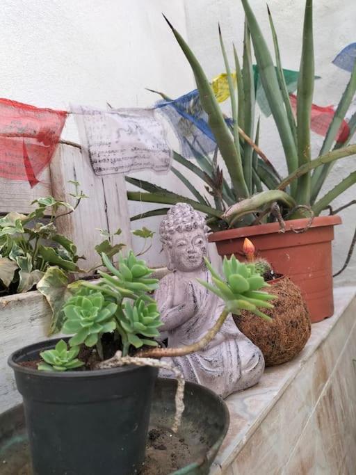 カリアリCasa Martaアパートメント エクステリア 写真